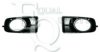 EQUAL QUALITY G0052 Radiator Grille